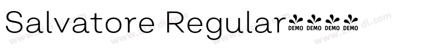 Salvatore Regular字体转换